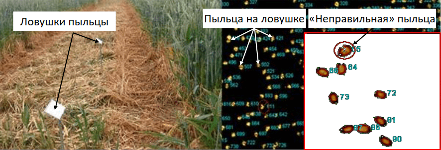 Новая эра в развитии информационных технологий. Диаграмма 8